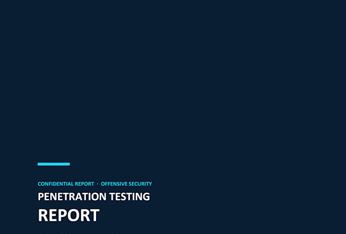 perform a web application penetration test